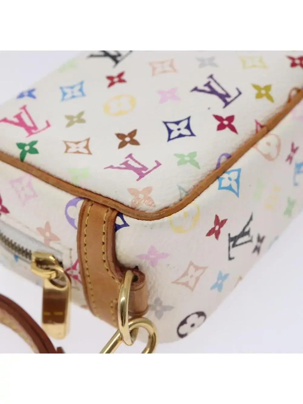 Louis Vuitton Multicolor Trousse Wapity #344180L73B